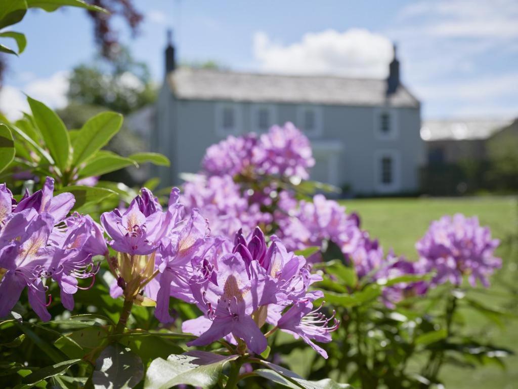 5 Bed In Loweswater Sz424 Lorton Extérieur photo
